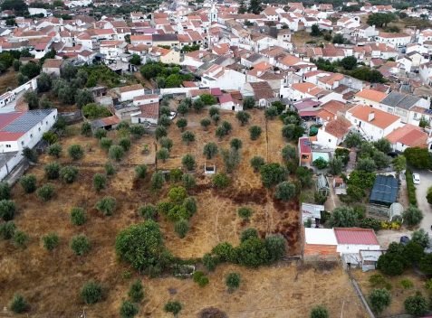 casafari-32414-16-2a004da87b8a