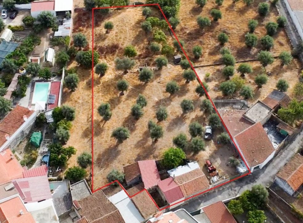 casafari-32414-3-0ab2eac21a05