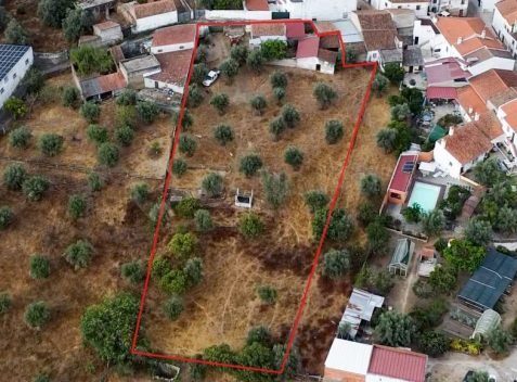 casafari-32414-4-6f346219cfe2