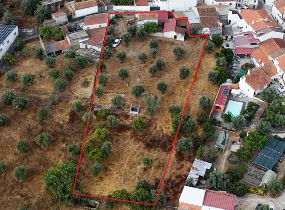 casafari-32414-4-6f346219cfe2
