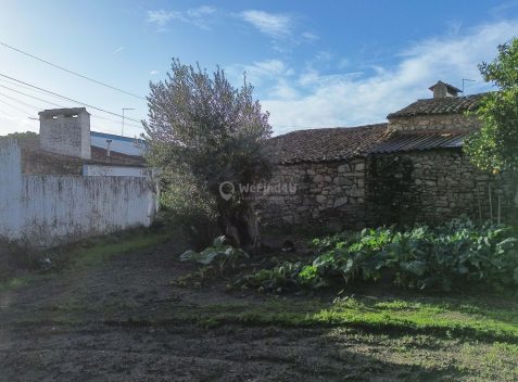 imported-012d5cc1-4402-435a-a589-cd465c62fc99