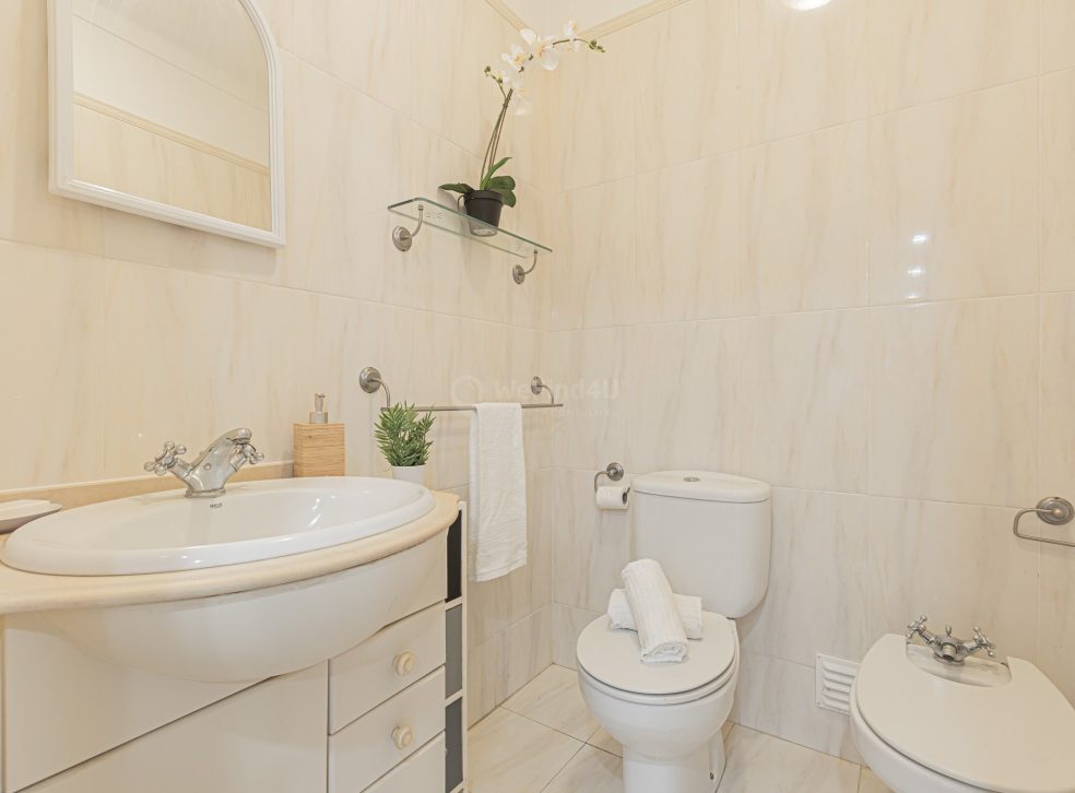 imported-091f9394-f68f-4c5a-beed-fbaf4c6d5793