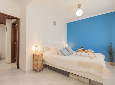 imported-11e9c744-960c-4f5d-abf8-96ada5bad35f