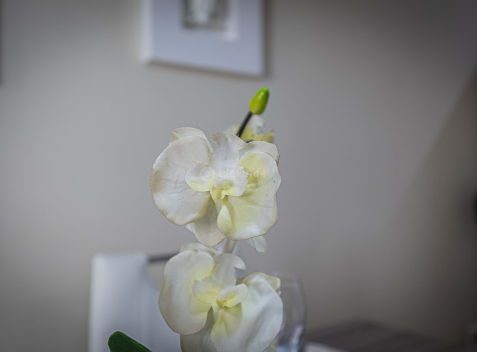 imported-15c96be5-7f03-40b6-bc46-d41edfd8fc34