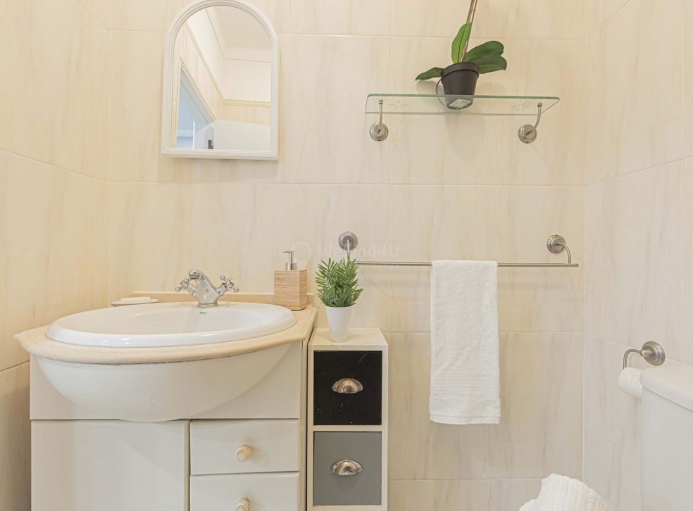 imported-186210ad-fdea-47b7-96d6-8cb17c67cf2d