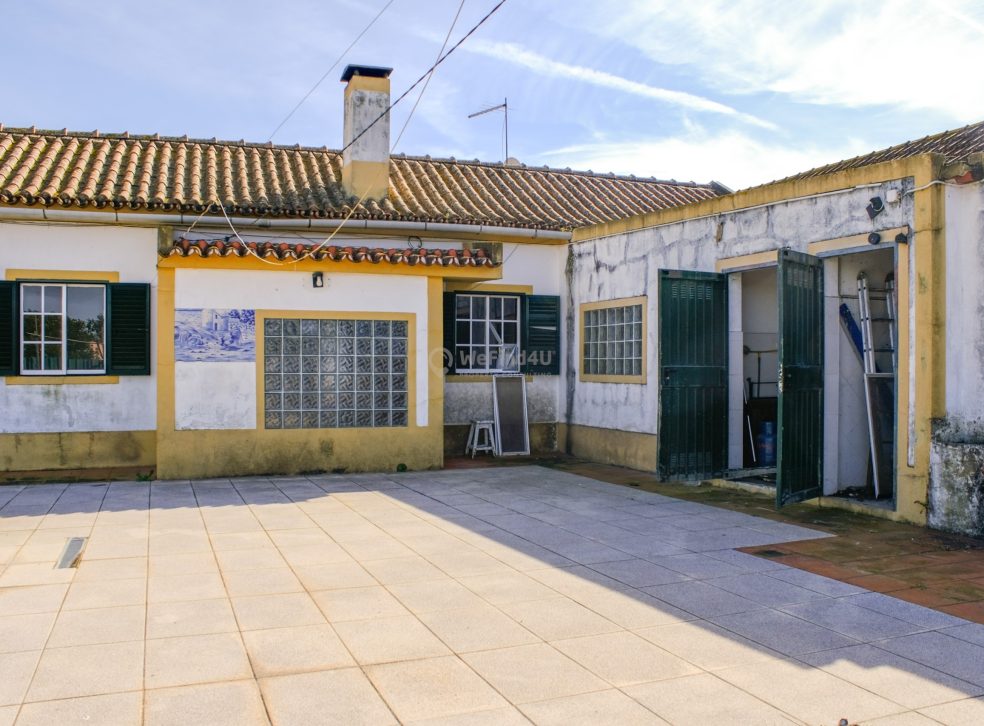 imported-19826db5-c3fe-47d2-821d-9f661636bb6c