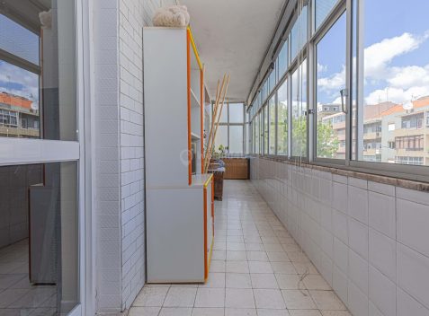 imported-25206554-e216-4238-9bfa-480a88b76bc2