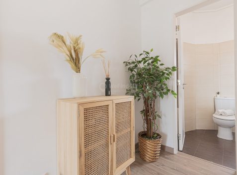 imported-50354ee9-36b6-4479-84d1-9c5cb04bc247