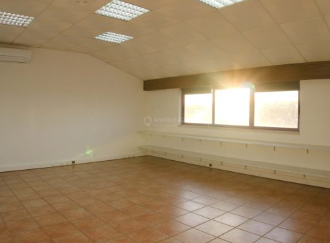 imported-5e382dd5-9c56-4950-a561-19b68b54b8ac