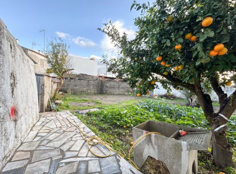 imported-6d97a802-f043-4a89-bdf4-1c0bc9c1108d