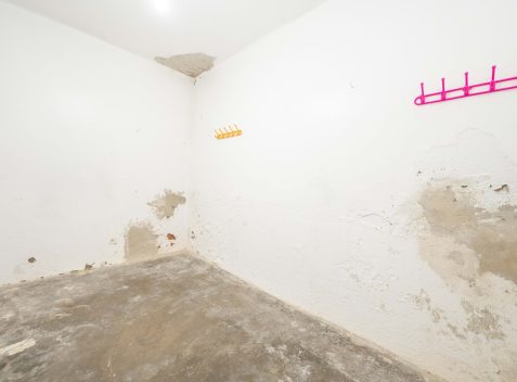 imported-7615008f-db16-4e7d-8c85-31af4c73d84c