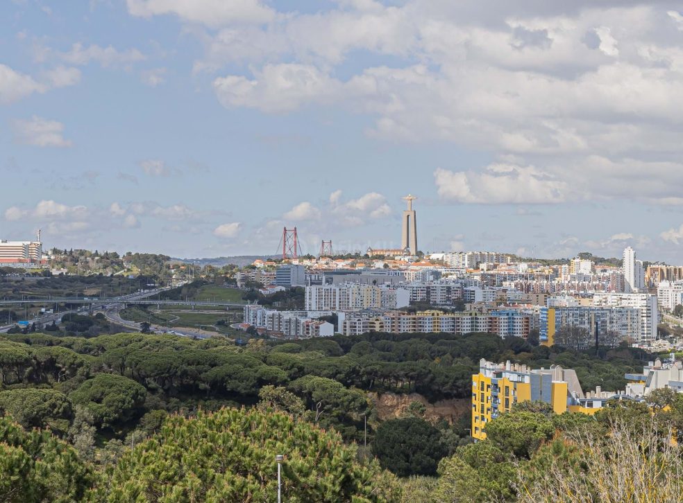 imported-794d0025-c883-4b45-ac2d-2e65570105a3