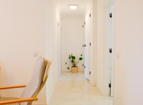 imported-7f960bf5-21ba-4667-878d-8cef0cdd6fab