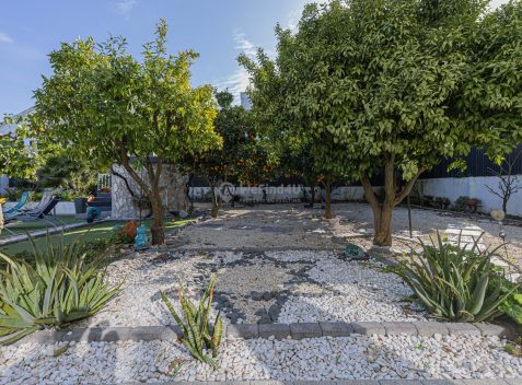 imported-8b52c2c8-29d1-45c8-9926-7f4aa354e8cf