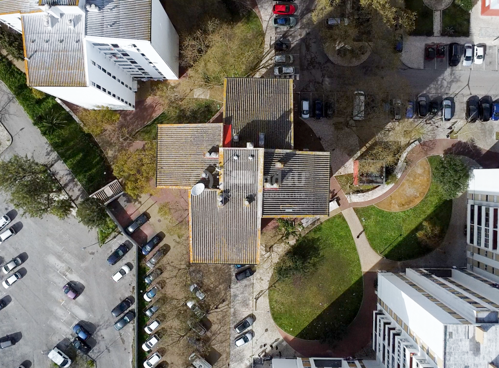 imported-8c339ddb-4061-49c2-9b4e-36c98477f228