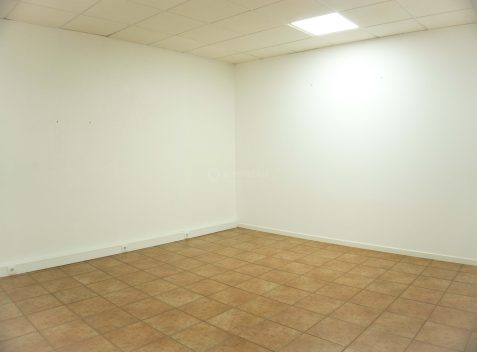 imported-8d74c75b-28a3-4730-a186-0ce99d766783