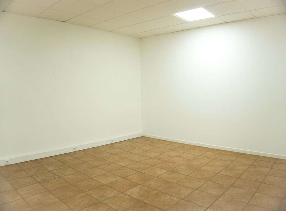 imported-8d74c75b-28a3-4730-a186-0ce99d766783