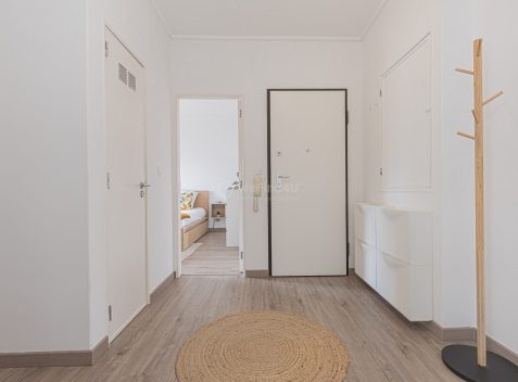 imported-8fd73af0-468a-4e1e-a71e-c9e034fc87ed