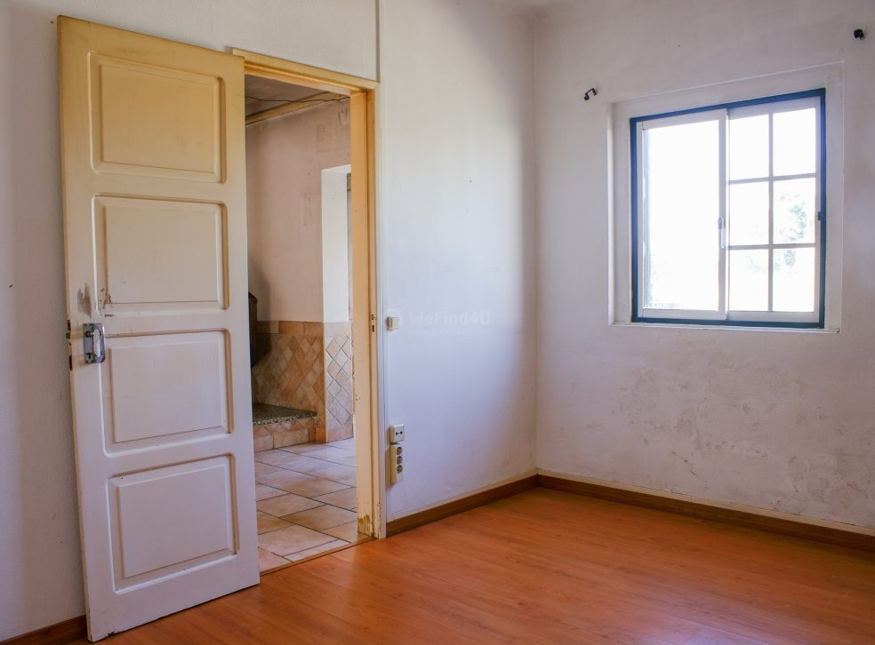 imported-98ffcd15-5785-4fcd-aaa3-dab0800c6e0b