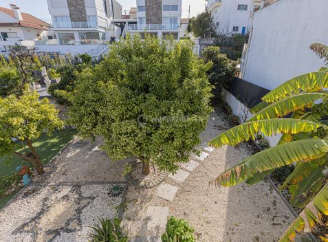 imported-a4e06d8a-f6da-4d46-89c5-c8dc1def5883