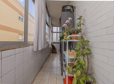 imported-a71d4f68-9477-4c93-881d-d0b0c01a7c9d