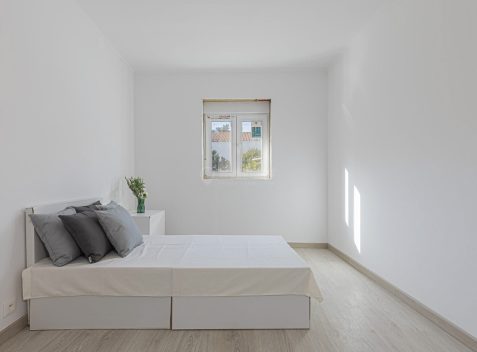 imported-b4207377-41db-4e3b-9e29-e8e3c856f89c