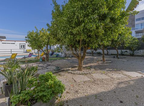 imported-b81c4741-c597-410a-aa47-0f1a3f061741