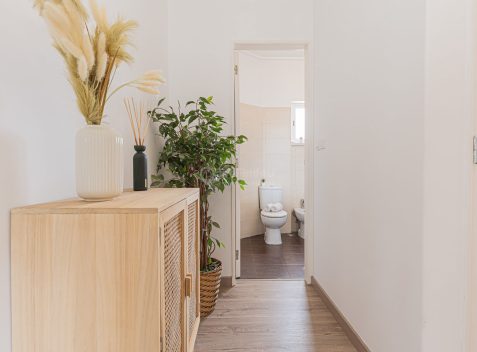 imported-c190696a-3973-4f7c-9d62-a9767ed963ee