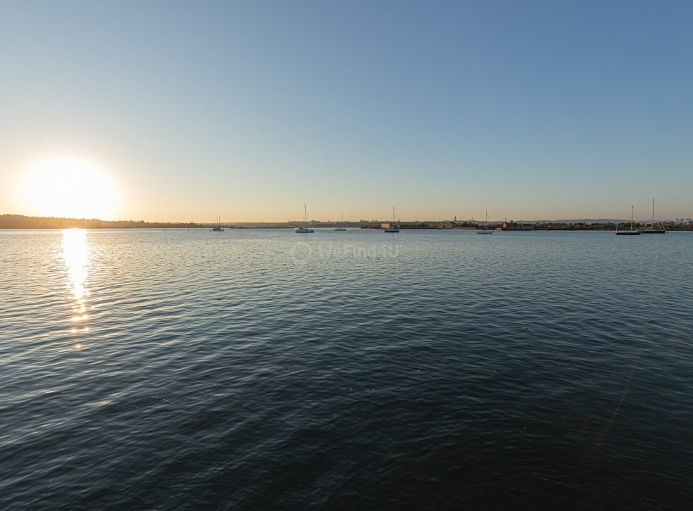 imported-c9034716-1866-45b0-b282-280d4720a8ad