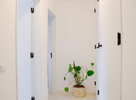 imported-cc473c46-a3ba-4293-a151-0c96a00afaf4