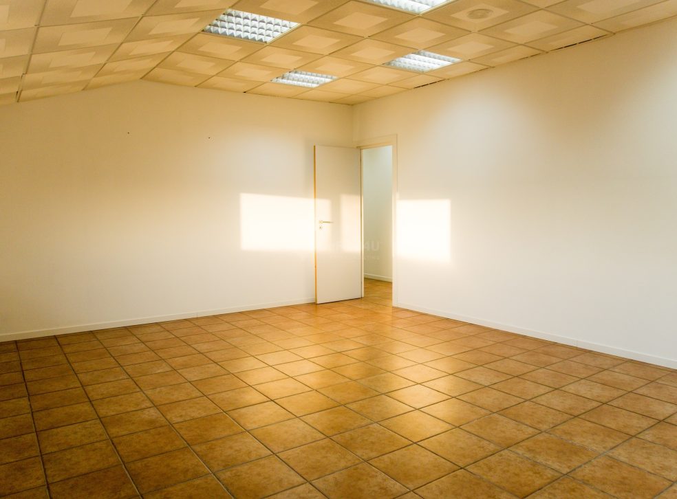 imported-dbea71af-a367-4516-84e2-6d4bb936fb0e