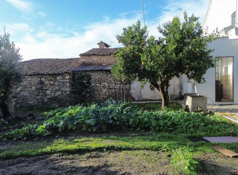 imported-e352e1e2-9588-4c7a-a276-fb3674d70122