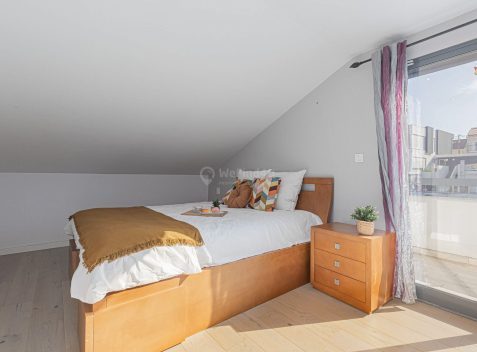 imported-e43c3dd8-e77d-4096-bba9-30d198e08cf0