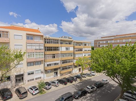 imported-e82b422f-e1a1-4ebb-b473-d529bd96164f