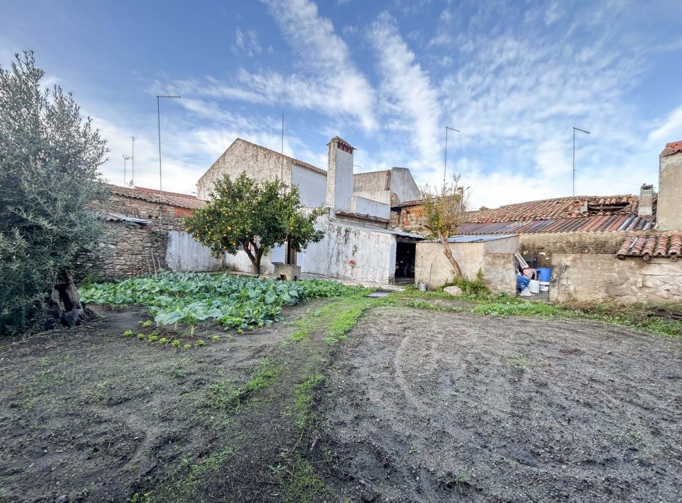 imported-f2a98ba4-2aec-4f05-a4b3-14aa74abd9e0