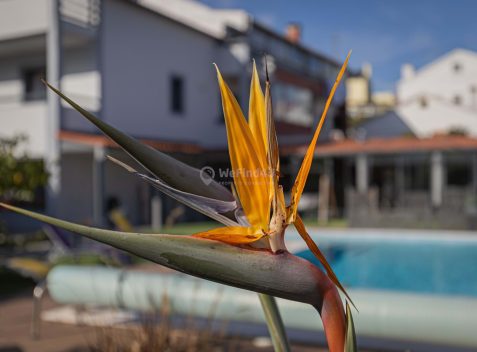 imported-f5f5bfb2-fb22-4c01-b8e3-e2e9c9bde174