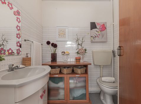 imported-f6da7087-9525-42a2-9fed-042d5056f162